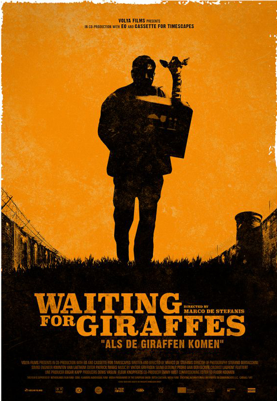 Waiting for giraffes